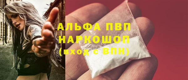 дживик Бородино