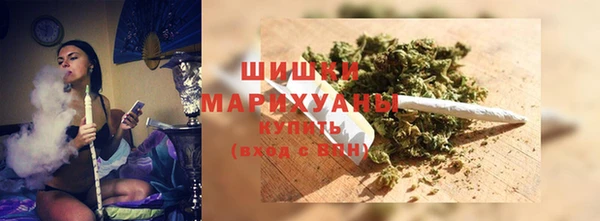 дживик Бородино