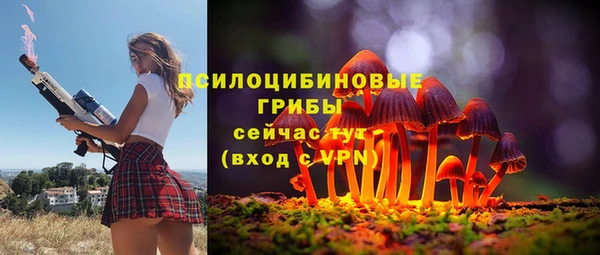 каннабис Богданович