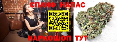 прущие грибы Можга