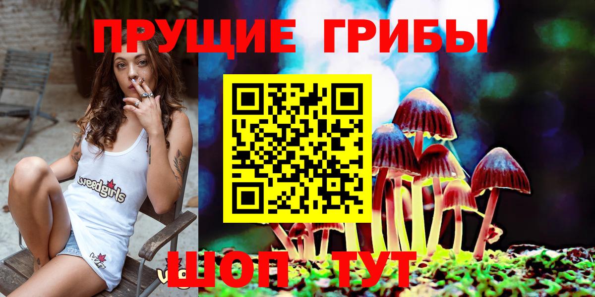 Городец  Псилоцибиновые грибы GOLDEN TEACHER  Вход с VPN 