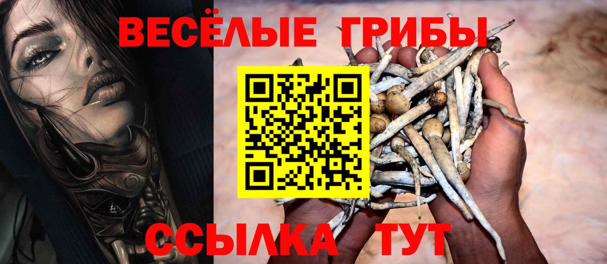 Галлюциногенные грибы GOLDEN TEACHER Городец